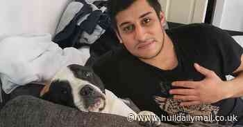 Hull man out for revenge viciously attacks neighbour's terrified dog - Hull Live