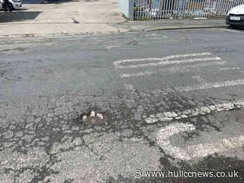 Weekly roadworks update - June 17 - Hull CC News