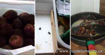 Dirty kitchen at Hull store with zero hygiene score littered with dead flies - Hull Live