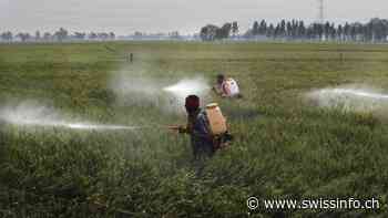Mediation fails to solve dispute over Syngenta insecticide in India - SWI swissinfo.ch in English