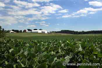 State seeks innovators to solve pesky farm problem: waste plastics - PennLive