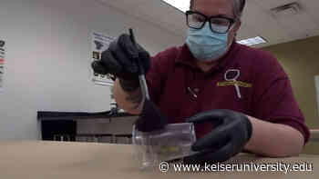 Keiser University Tampa student inspired to solve cold cases with a degree in crime scene technology - Keiser University