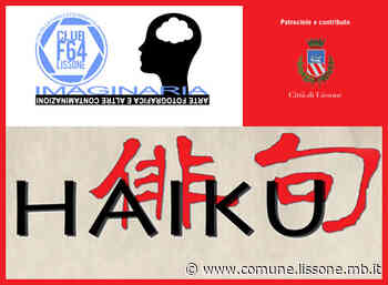 "Haiku" - Serata fotografica - Comune di Lissone
