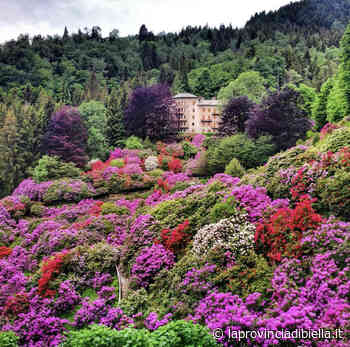 Se avete perso il sesto fascicolo del libro I luoghi del cuore, oggi potete ancora trovarlo in edicola - La Provincia di Biella