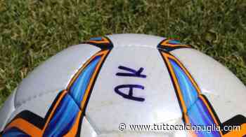 Bitonto, oggi a Sesto Fiorentino la Juniores si gioca lo scudetto - TuttoCalcioPuglia.com