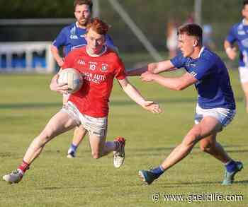 Gormley enjoying life at native Trillick - Gaelic Life - Gaelic Life