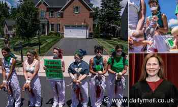Pro-choice protesters brandish toy DOLLS outside Supreme Court Justice Amy Coney Barrett's home - Daily Mail