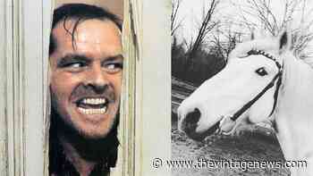 Jack Nicholson Saw a Boulder Turn Into a Horse After Taking LSD - The Vintage News