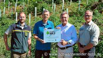 1990 Bäume für Wildberg: Neu gesetzte Pflanzen werden der Stadt übergeben