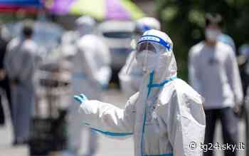 Covid Cina, a Shanghai lockdown temporaneo per ciclo test di massa - Sky Tg24