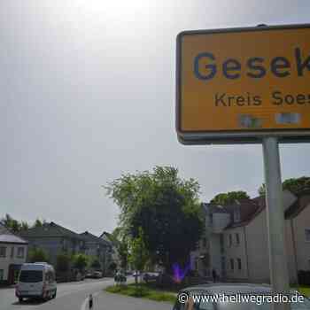 Verlegung von Stolpersteinen in Geseke - Hellweg Radio