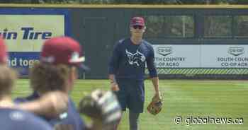 Lethbridge Bulls begin WCBL title defence at home opener Thursday - Global News