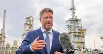 Der Habeck-Plan: Maßnahmen für weniger Gasverbrauch