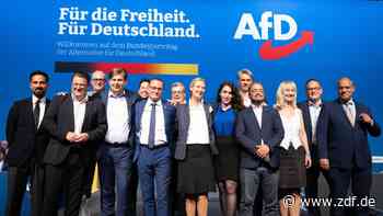 Dritter Parteitag der AfD - ZDFheute