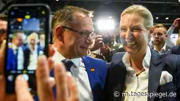 AfD-Erkenntnisse aus Riesa: Die neue Parteispitze startet angeschlagen - Politik - Tagesspiegel