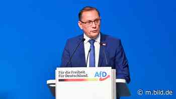 AfD bestätigt Pleitevorsitzenden: Parteitag in Riesa - Deutschland - Bild.de - BILD