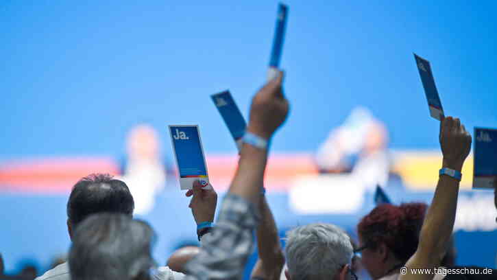 Bundesparteitag in Riesa: AfD-Delegierte für erneute Doppelspitze | tagesschau.de - tagesschau.de