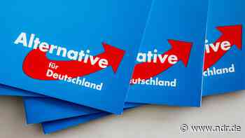 AfD-Parteitag in Riesa: Ja zur Einzelspitze | NDR.de - Nachrichten - NDR.de