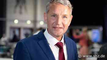 Parteitag in Riesa: AfD wählt neue Parteispitze – kandidiert Björn Höcke? - shz.de