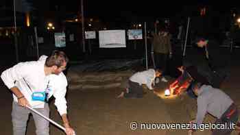 Nidi di Caretta-Caretta, in arrivo in “Tartawatchers” a Jesolo - La Nuova Venezia