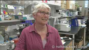 U of M professor elected into National Academy of Sciences, the U.S.' highest honor in the field