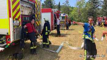 Durchhängendes Kabel verursacht Brand in Jenaer Gartenanlage - Ampelausfall an wichtigen Kreuzungen