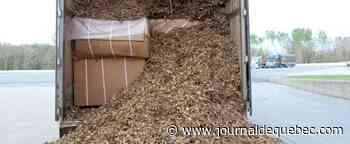 Tabac, armes à feu : il n’y a rien à faire