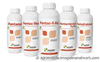 Ala: maggior attività fotosintetica della pianta - Fertilizzanti - AgroNotizie - Agronotizie