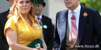 Sarah Ferguson hält Prinz Andrew für einen „sehr guten Mann“ - FOCUS Online