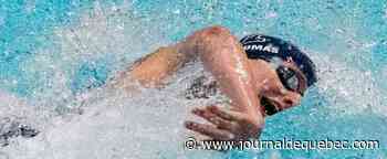 Natation: création d’une «catégorie ouverte» où pourront concourir les transgenres