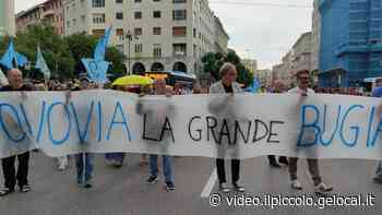 A Trieste il Comitato No Ovovia scende in piazza - video.ilpiccolo.gelocal.it
