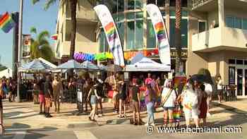 Thousands Celebrate Pride at Stonewall Pride Festival and Parade in Wilton Manors