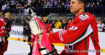 Cape Breton's Joey Haddad retires without regrets after 12-year professional hockey career - Saltwire