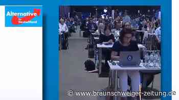 AfD beendet Bundesparteitag vorzeitig im Streit