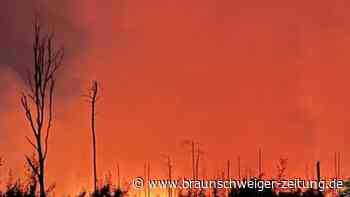 Waldbrand in Brandenburg: "Sowas sieht man eher sehr selten"