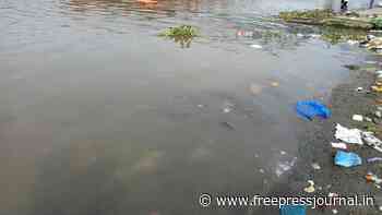 Thane creek MIDC pipeline leak: Very high level of toxicity even after 21 days, reveals water sample analysis - Free Press Journal