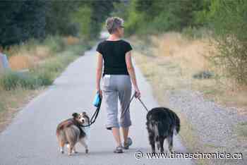 Town resolves trail access concern in Oliver - TimesChronicle.ca - Times Chronicle