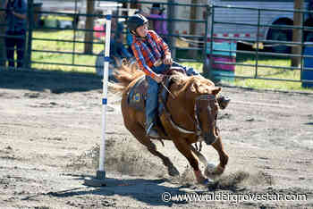 Supporters, opponents of Langley rodeo take case to Township council – Aldergrove Star - Aldergrove Star