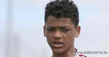 Family of Josh Dunne considering civil action of stabbing of Dublin teen - Irish Mirror