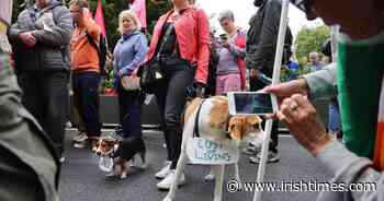 Cost of living protests take place in Dublin and other cities - The Irish Times