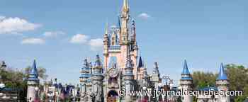 Vous pouvez visiter 12 parcs Disney en jet privé pour seulement... 110 000$