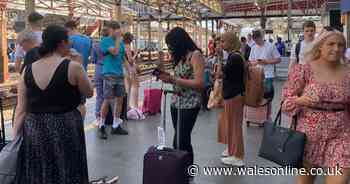 'Ridiculous' scenes as packed Transport for Wales train evacuated due to scorching heat - Wales Online