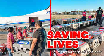 Providing Lifesaving Transport for PVS Pets - Texas Border Business