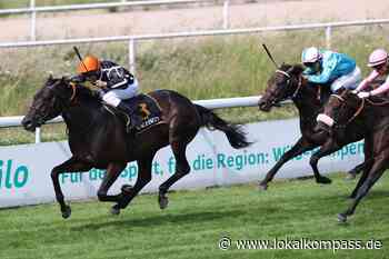 Galopprennen in Wambel: Parol Start-Ziel-Sieger im Großen Preis der Wirtschaft - www.lokalkompass.de