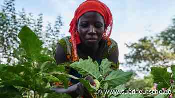 Industrie - Wirtschaft fordert Umdenken in deutscher Entwicklungspolitik - Wirtschaft - Süddeutsche Zeitung - SZ.de