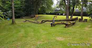 Tijdelijk park geopend op site van mediapark.brussels - Het Laatste Nieuws