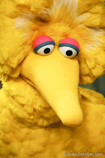 Episode of 'Sesame Street' allegedly removed for being too frightening posted to social media