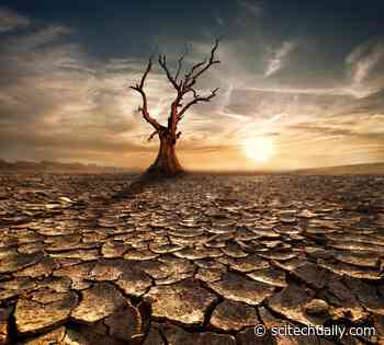 Tropical Trees Are Dying Twice As Fast Due to Climate Change