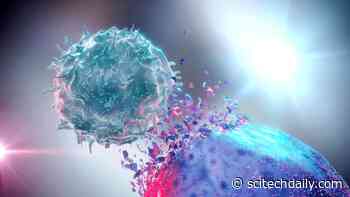 A Shortcut to Preventing Cancer