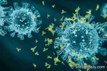 Catching COVID-19 Could Increase Your Risk of Parkinson’s Disease